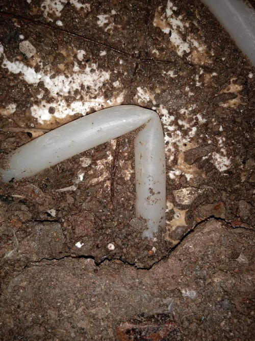 秭归堵点精准查找